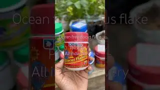 Discus fish food flakes type price 475/-