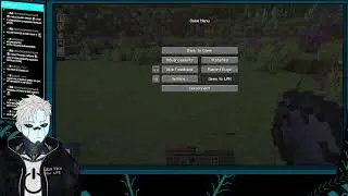 Community Vault Hunters server