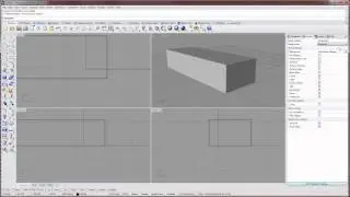 Overview of the v5 Rhino interface