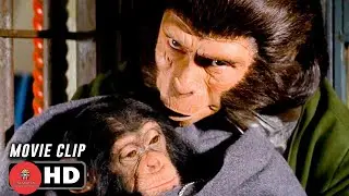 Escape From The Planet Of The Apes Clip Understanding 1971