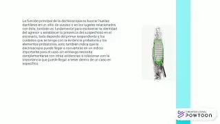 Copy of DACTILOSCOPIA SIDELLISMARCANOs.pptx