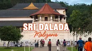 Sri Dalada Maligawa: Temple of the Sacred Tooth Relic #srilanka