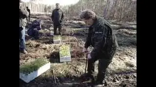 Sadzenie lasu- instrukcja obsługi