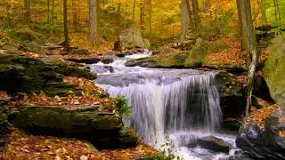 Future Skyline - Deep Forest