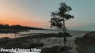 No ads‼️Ocean Waves for Deep Sleep: Soothing Sounds for Restful Nights