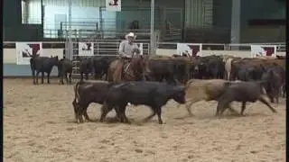 RIO CD YADAYADAYADA - 1998 AQHA Mare