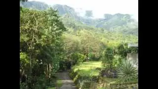 daguioman