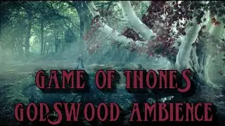 Game of Thrones Godswood Ambience | ASoiaF Background Soundscape for Study, Sleep, or Relaxation!
