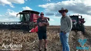 Irrigating Cotton