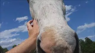 It was a good day with Idaho, age 31.