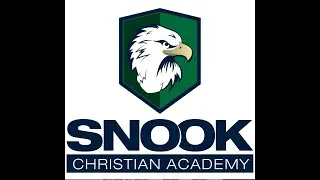 Snook vs Cornerstone