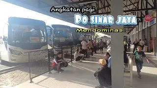 Po sinar jaya  mendominasi di angkatan pagi ,loketnya juga tertib banget#bagregotomotif 