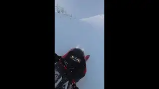 Lynx Winter Playground