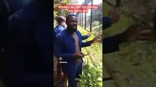 monkey ka kartab