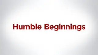 The 50th Anniversary of the Cornell Feline Health Center - Part One | Humble Beginnings