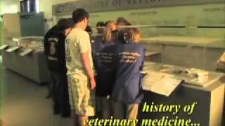 Veterinary Exhibit-H.264 - Webcasting .mov