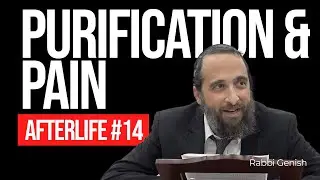 2 Aspects of Gehinom: Pain & Purification (Afterlife #14)