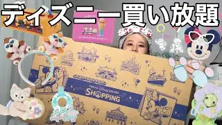 【総額７万円越え】ディズニーランド・シーでグッズ買い放題してきたらマジで楽しすぎてハッピーライド