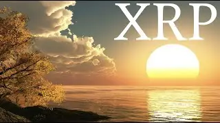 ⚠️RIPPLE/XRP CASE FINAL END DATE | HOGAN REVEALS A NEW LAWSUIT SCENARIO | CBDCS WILL MAKE XRP RISE⚠️
