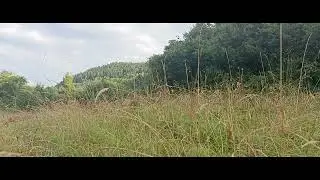 Żurawnica Mountain Middle Of The Day View Relaxation Meditation Nature (Mountains South of Poland)