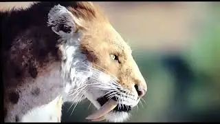 life on our planet Smilodon