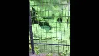 20121029 171037