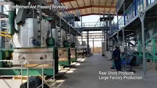 Large scale peanut soybean sunflower oil processing machine display video