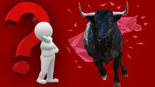 Do bulls get angry because of red color? - Myth or reality?