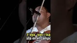 🔥#lenguasind&iacute;genas #lenguasoriginarias #Tenek Los Micros&oacute;nicos, La abejita 🐝