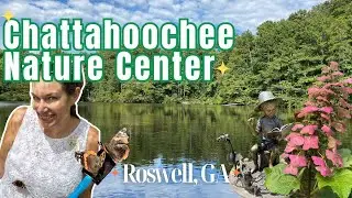 Exploring The Chattahoochee Nature Center: Roswell, GA Family Fun