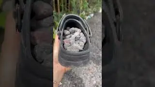So many stones in my shoes 🤪 #shorts