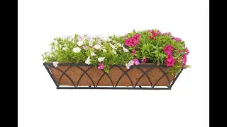 Window boxes with liner