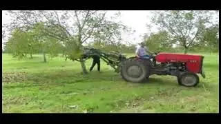 SCUTURATOR NUCI SI ALTI POMI FRUCTIFERI CU TRUNCHI GROS