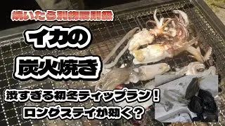 渋い初冬ティップラン！ロングステイが効いた？イカの沖漬け炭火焼きは激うま反則級だった！