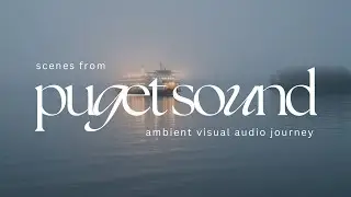 Scenes from Puget Sound | PNW Dreamscape | Mountain Fog Ambience | 4K Relaxing Visual Audio Journey