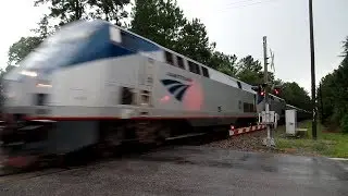 Amtrak Train The Silver Meteor