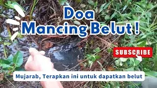 Doa Mancing Belut ‼