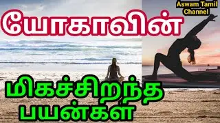 யோகா தினமும் செய்தால் இத்தனை நோய்கள் தீரும்|yoga benefits tamil|உடற்பயிற்சி நன்மைகள்|meditation uses