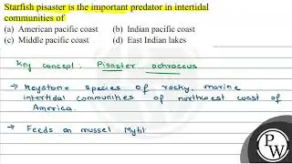 Starfish pisaster is the important predator in intertidal communities of (a) American pacific co...