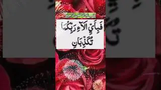 29 January 2025