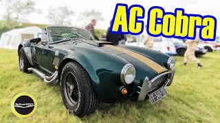 Au volant d'une AC Cobra après des sensations fortes le circuit F1 de Magny Cours !