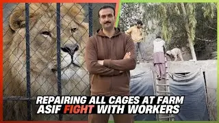 Asif ki harkatein 😂 or farm mein muramat ka Kam ⚒️ Dolla Breeding Farm 🦁 🏡