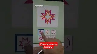 Visual Attention Training