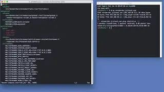 Установка Multistreamer с Docker