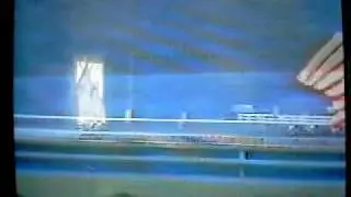 1987 Travers Stakes