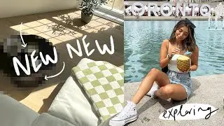 NEW living room furniture FINALLY!!! + meal prep & exploring the city!