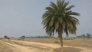 Way to Fatepur Dam