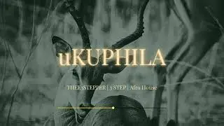 [FREE] 3 Step Afro House Instrumental , Jazzworx, Thukuthela, Dlala Thukzin | Afro House Type 2026
