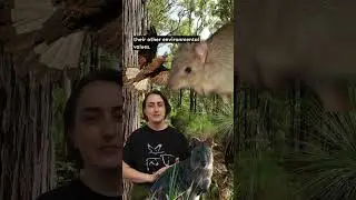 🚨🌳Sign the petition