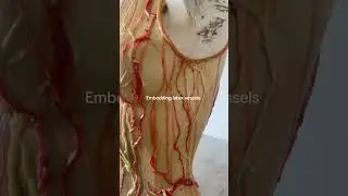 Casting a Latex Top with embedded Veins  #latex #art #liquidlatex